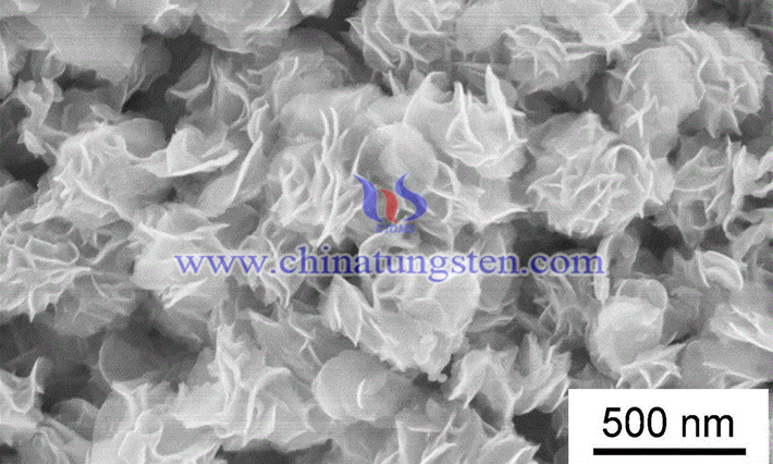 Transition metal molybdenum tungsten disulfide nano sheet