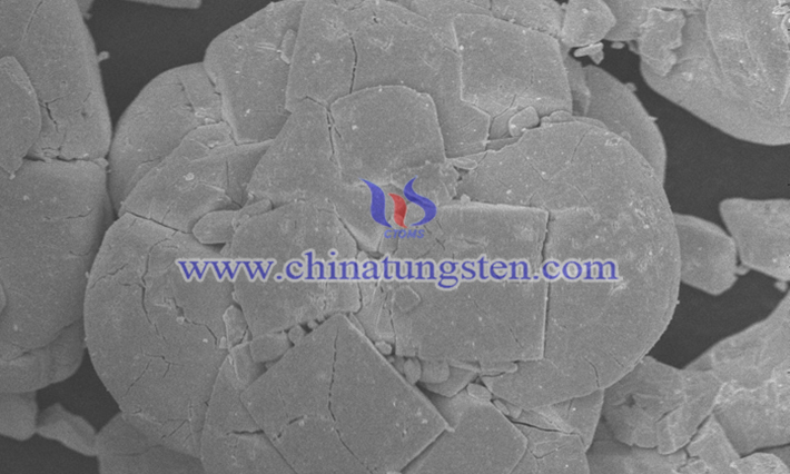 Blue tungsten is Blue Tungsten Oxide (BTO). X900 SEM photos of 10um Blue Tungsten Oxide (BTO)